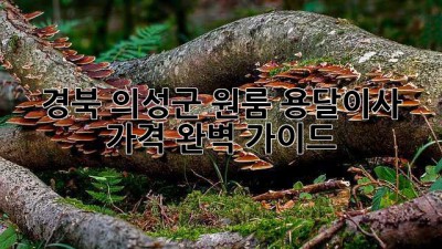 경북 의성군 원룸 용달이사 가격 완벽 가이드